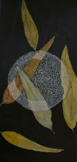 Seed Seven - Lucinda Sherlock