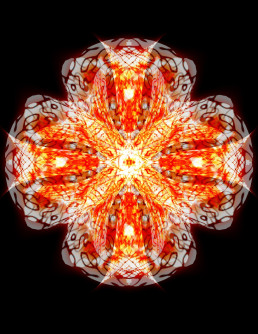 Seed 20 - Amanda Earl