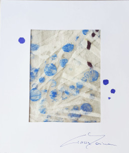 Seed 24 - Cinzia Farina
