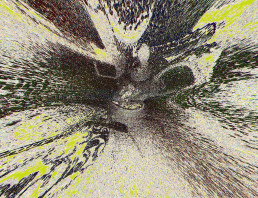 Seed 37 - Nicola Winborn