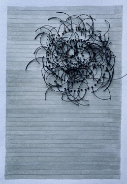 Seed 123 - Marcia Brauer