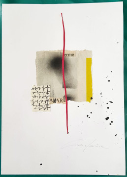 Seed 97 -Cinzia Farina