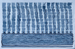 Seed 132 - Marcia Brauer