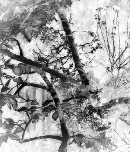 Seed 189 - Marta LaRue