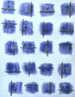 Seed 243 - Marcia Brauer