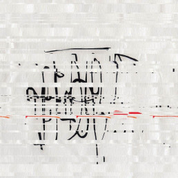 Seed 274 - Kristen Szumyn